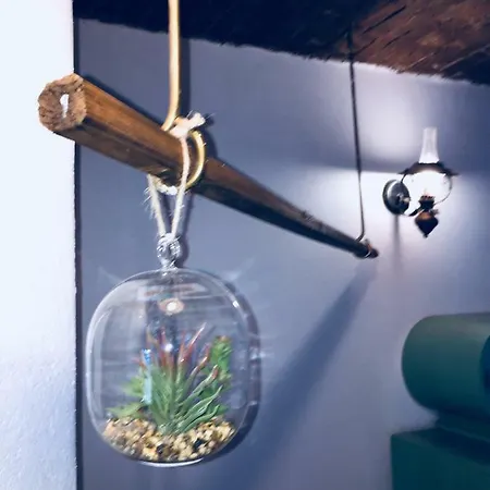 Apartman Studio Das Ist Walter *